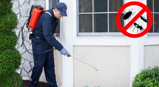 Sultandağı Karınca İlaçlama böcek ilaçlama ve haşere kontrolü — ilaclama-tr.com